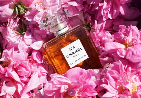 remise pour chanel n 5